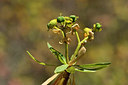 BUITEN BEELD Foto: 277289