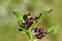 BUITEN BEELD Foto: 277304