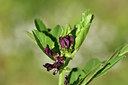 BUITEN BEELD Foto: 277306