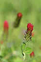 BUITEN BEELD Foto: 277312