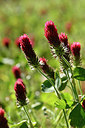 BUITEN BEELD Foto: 277317