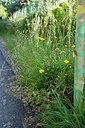 BUITEN BEELD Foto: 277318