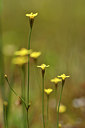 BUITEN BEELD Foto: 277331