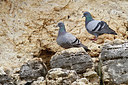 BUITEN BEELD Foto: 277402