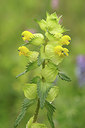 BUITEN BEELD Foto: 277522