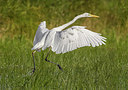 BUITEN BEELD Foto: 277565