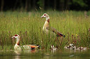 BUITEN BEELD Foto: 277577