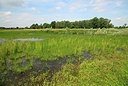 BUITEN BEELD Foto: 277579