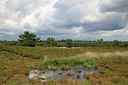 BUITEN BEELD Foto: 277589