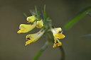 BUITEN BEELD Foto: 277608