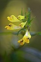 BUITEN BEELD Foto: 277609