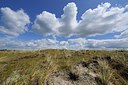 BUITEN BEELD Foto: 277611