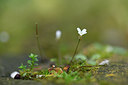 BUITEN BEELD Foto: 277634