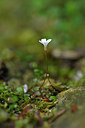BUITEN BEELD Foto: 277635