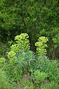 BUITEN BEELD Foto: 277638