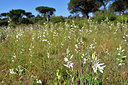 BUITEN BEELD Foto: 277653