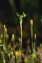 BUITEN BEELD Foto: 277670