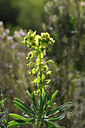 BUITEN BEELD Foto: 277673