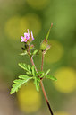 BUITEN BEELD Foto: 277679