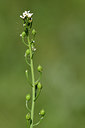 BUITEN BEELD Foto: 277687