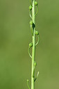 BUITEN BEELD Foto: 277688