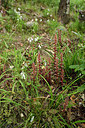 BUITEN BEELD Foto: 277698