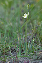 BUITEN BEELD Foto: 277721