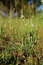 BUITEN BEELD Foto: 277723
