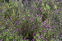 BUITEN BEELD Foto: 277724