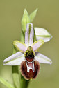 BUITEN BEELD Foto: 277727