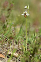 BUITEN BEELD Foto: 277729