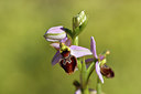 BUITEN BEELD Foto: 277735