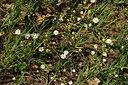 BUITEN BEELD Foto: 277741