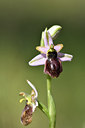 BUITEN BEELD Foto: 277745