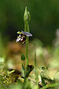 BUITEN BEELD Foto: 277757