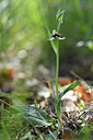 BUITEN BEELD Foto: 277758