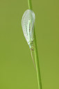 BUITEN BEELD Foto: 277766
