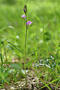 BUITEN BEELD Foto: 277789