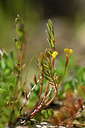BUITEN BEELD Foto: 277792