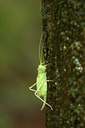 BUITEN BEELD Foto: 277878
