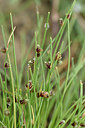 BUITEN BEELD Foto: 277928