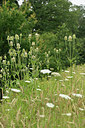 BUITEN BEELD Foto: 277960