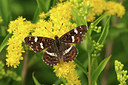 BUITEN BEELD Foto: 277974