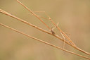 BUITEN BEELD Foto: 277986