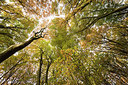 BUITEN BEELD Foto: 278043