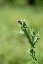 BUITEN BEELD Foto: 278044