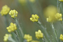 BUITEN BEELD Foto: 278046