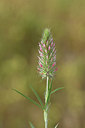 BUITEN BEELD Foto: 278048
