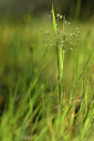 BUITEN BEELD Foto: 278050