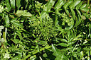 BUITEN BEELD Foto: 278054